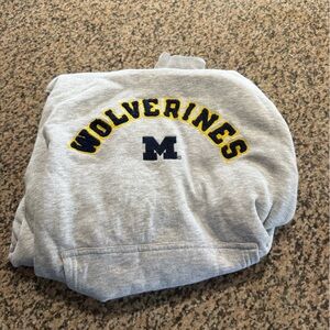 Pro Edge Gray Hoodie with Navy Accents